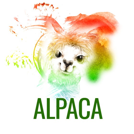 alpaca