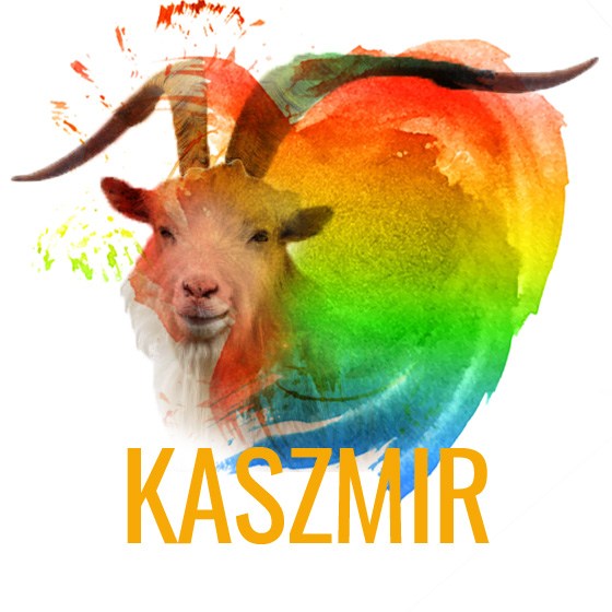 kaszmir