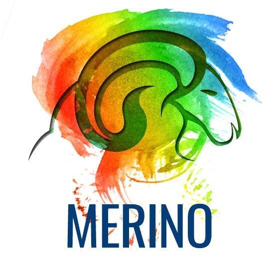 merino8