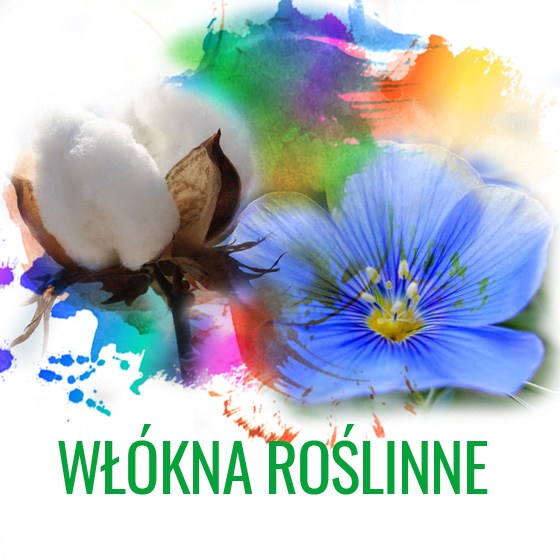 rosliny