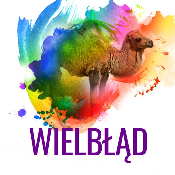 wielblad