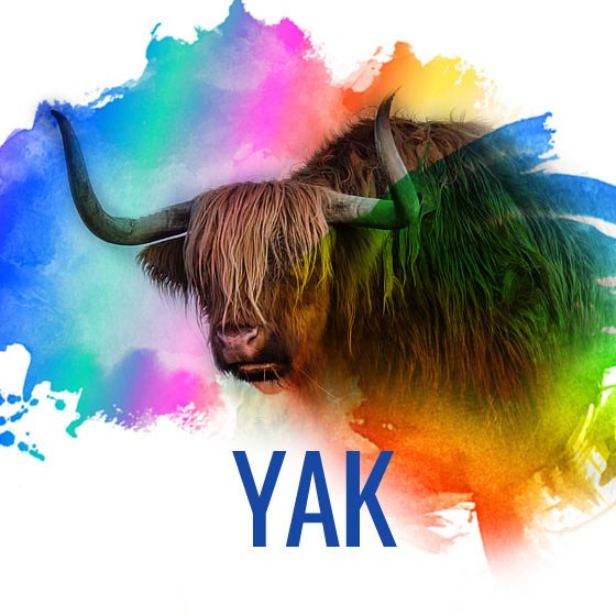 yak8