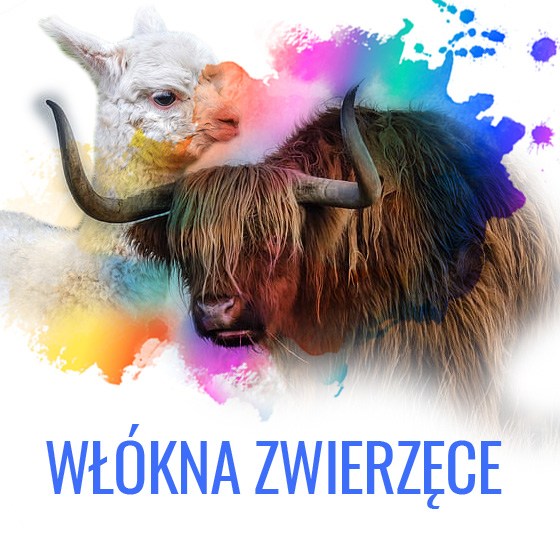 zwierz