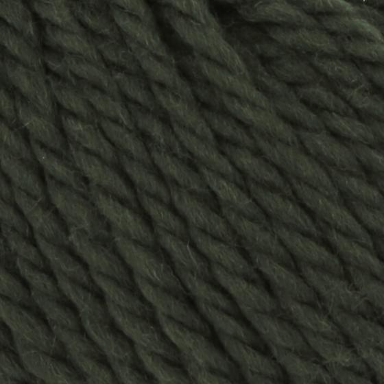 1061 0218 LANGYARNS Glory C Print