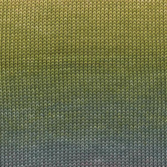 1088 0007 LANGYARNS QuattroDegrade C Print