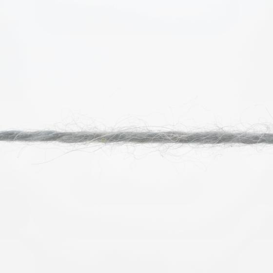 1093 0003 LANGYARNS Regina F Print