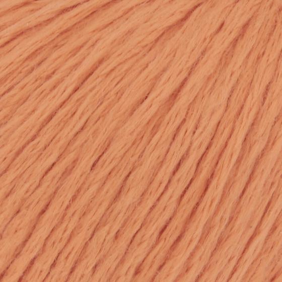 1111 0059 LANGYARNS AmiraLight C Print