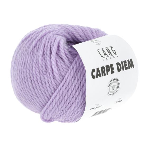 714 0107 LANGYARNS CarpeDiem 3 Print
