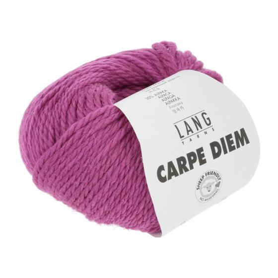 714 0165 LANGYARNS CarpeDiem 3 Print