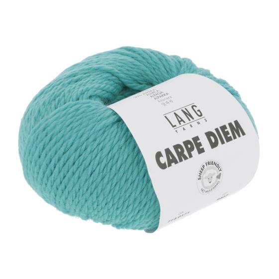 714 0171 LANGYARNS CarpeDiem 3 Print