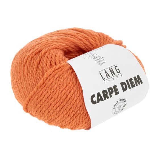 714 0259 LANGYARNS CarpeDiem 3 Print