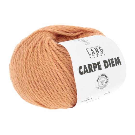 714 0359 LANGYARNS CarpeDiem 3 Print