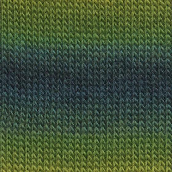 85 0056 LANGYARNS JawollMagicDegrade C Print